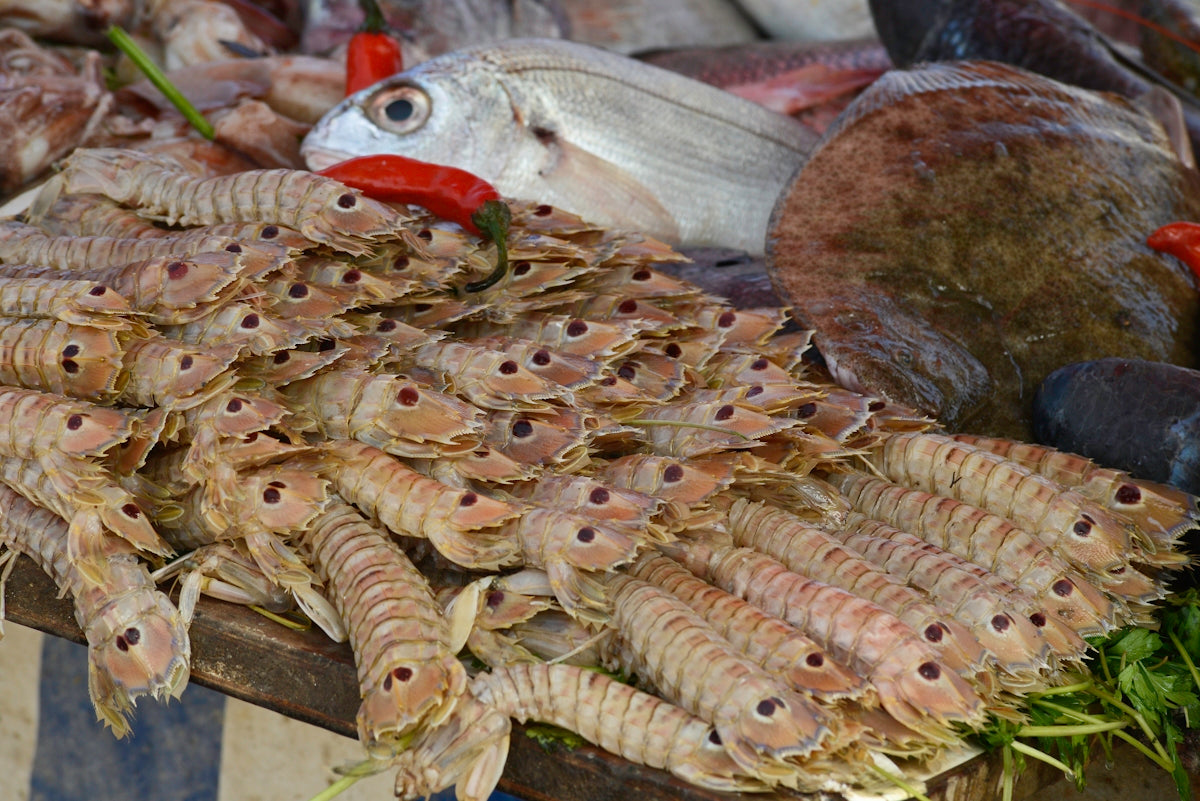 a group of fish